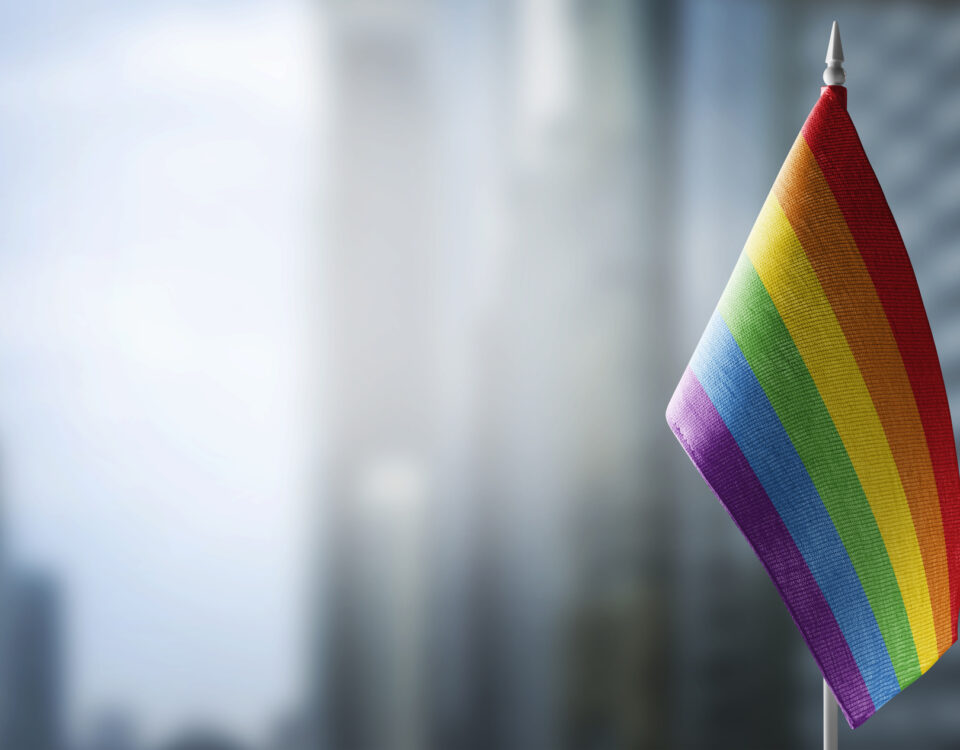 LGBTQIA+ Workplace Discrimination Examples: Small national flags of the lgbtqia+ on a light blurry background